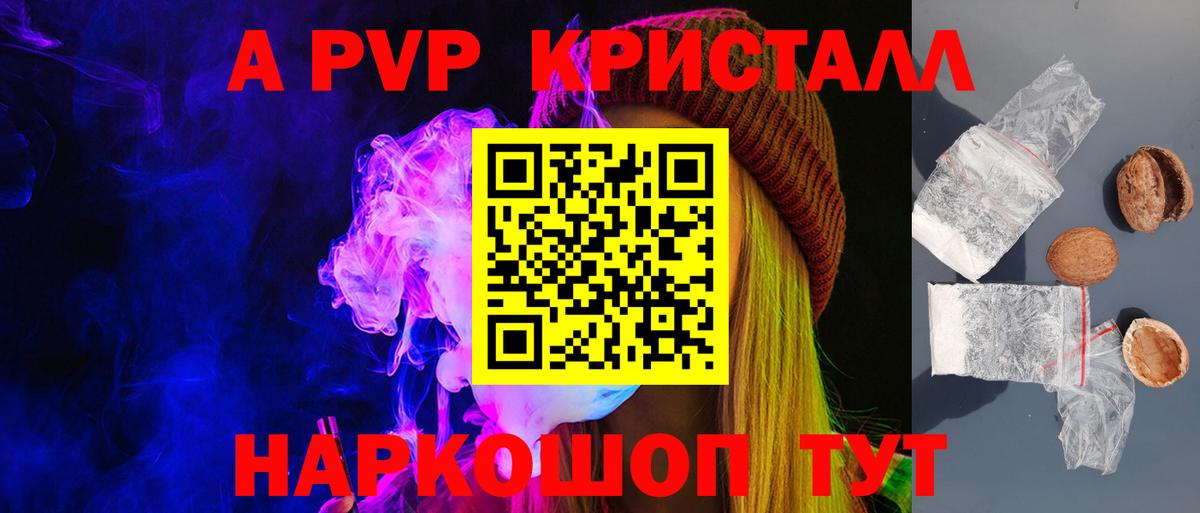 Альфа ПВП СК КРИС Избербаш