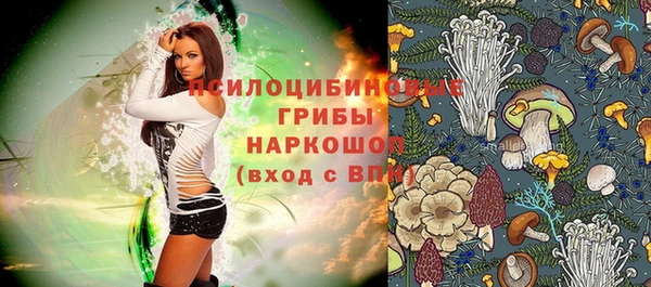 бутират Елабуга