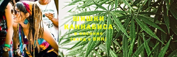 винт Ельня