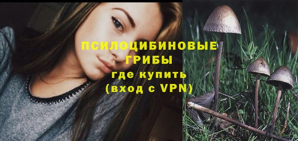 бутират Елабуга