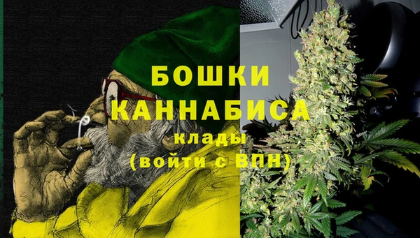 винт Ельня