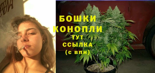 винт Ельня