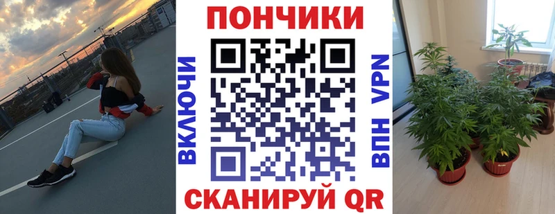 где можно купить наркотик  Избербаш  mega зеркало  Шишки марихуана индика 